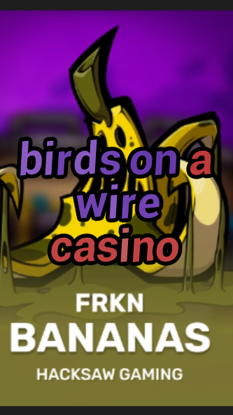 birds on a wire casino-3xn3u5udepyz9m9w5iat.com